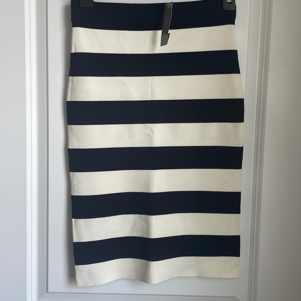 Ann Taylor Skirt
